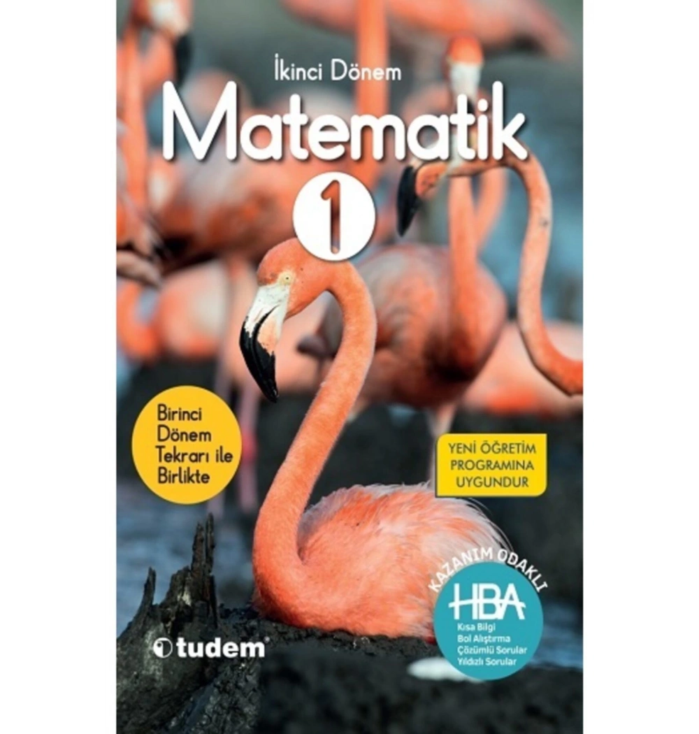 Tudem 1.Sınıf Matematik İkinci Dönem Hba
