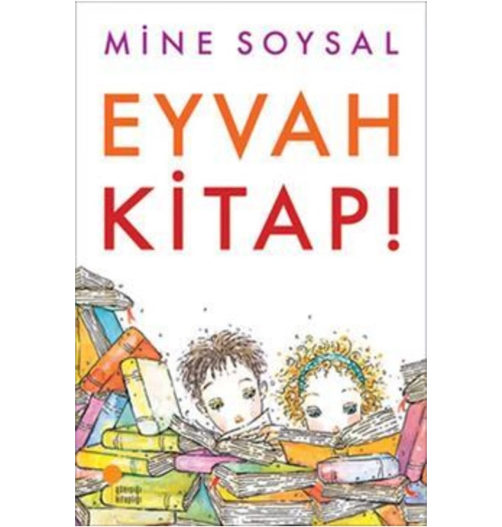 Eyvah Kitap ! Mine Soysal Günışığı
