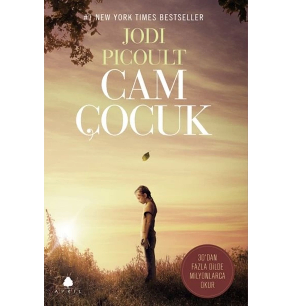 Cam Çocuk    Jodi Picoult   April Yay.