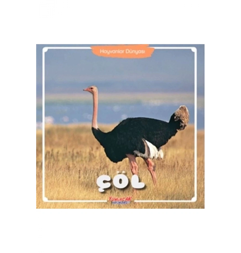 Çöl-Hayvanlar Dünyası Yumurcak
