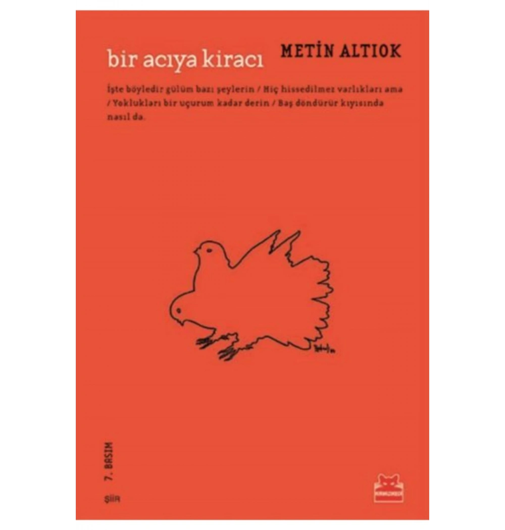 Bir Acıya Kiracı Metin Altıok Kırmızı Kedi