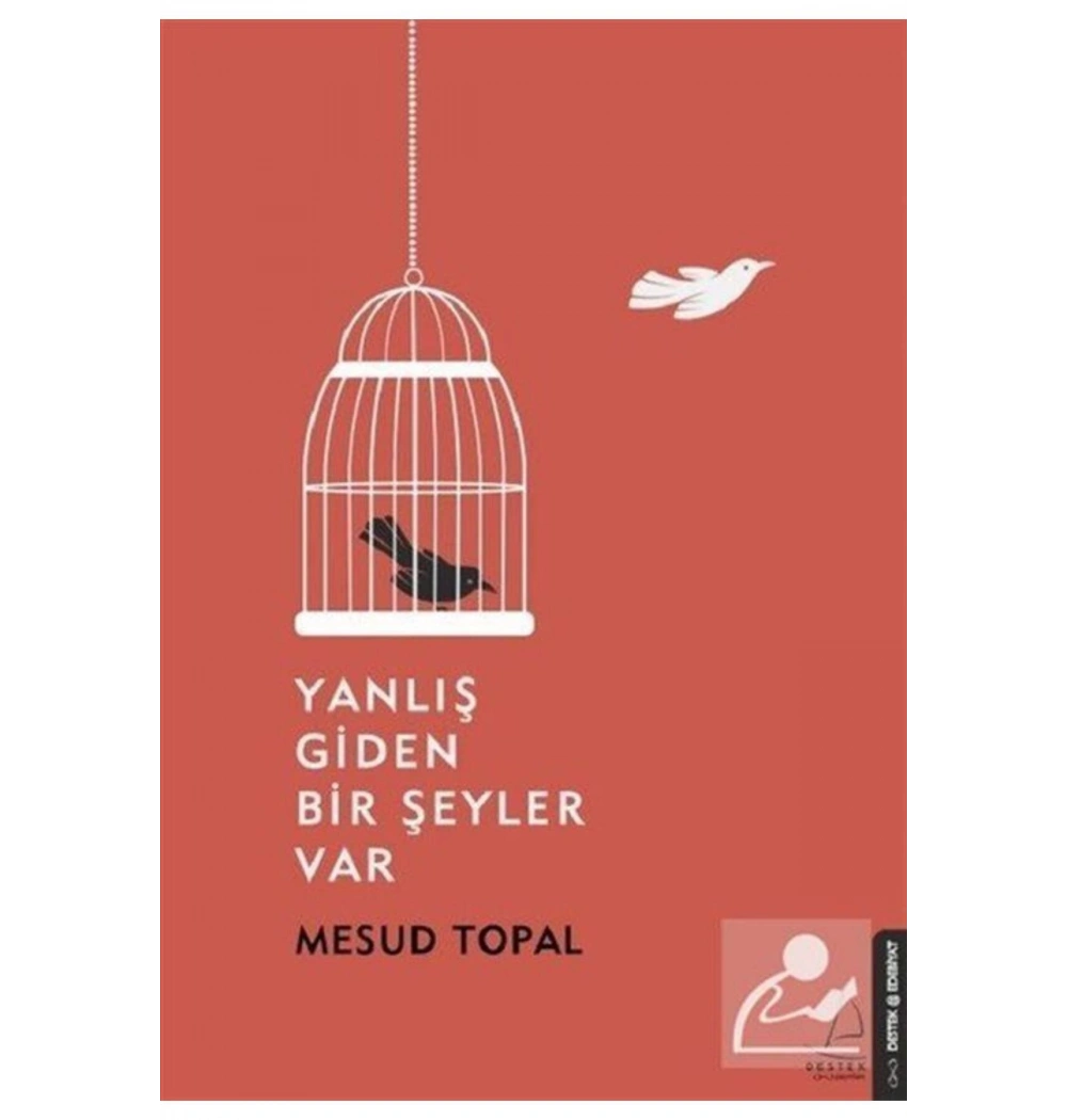 Yanlış Giden Birşeyler Var Mesud Topal Destek