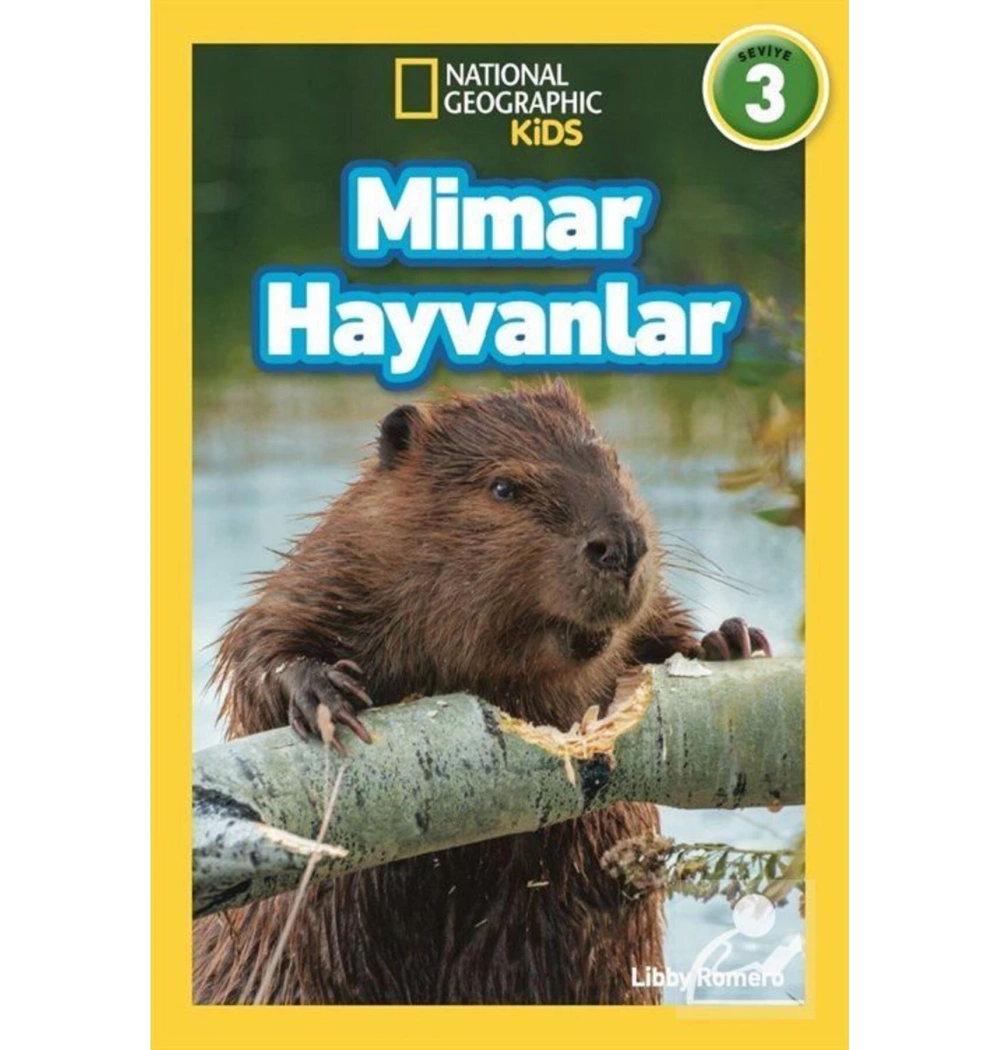 Mimar Hayvanlar Beta Kıds