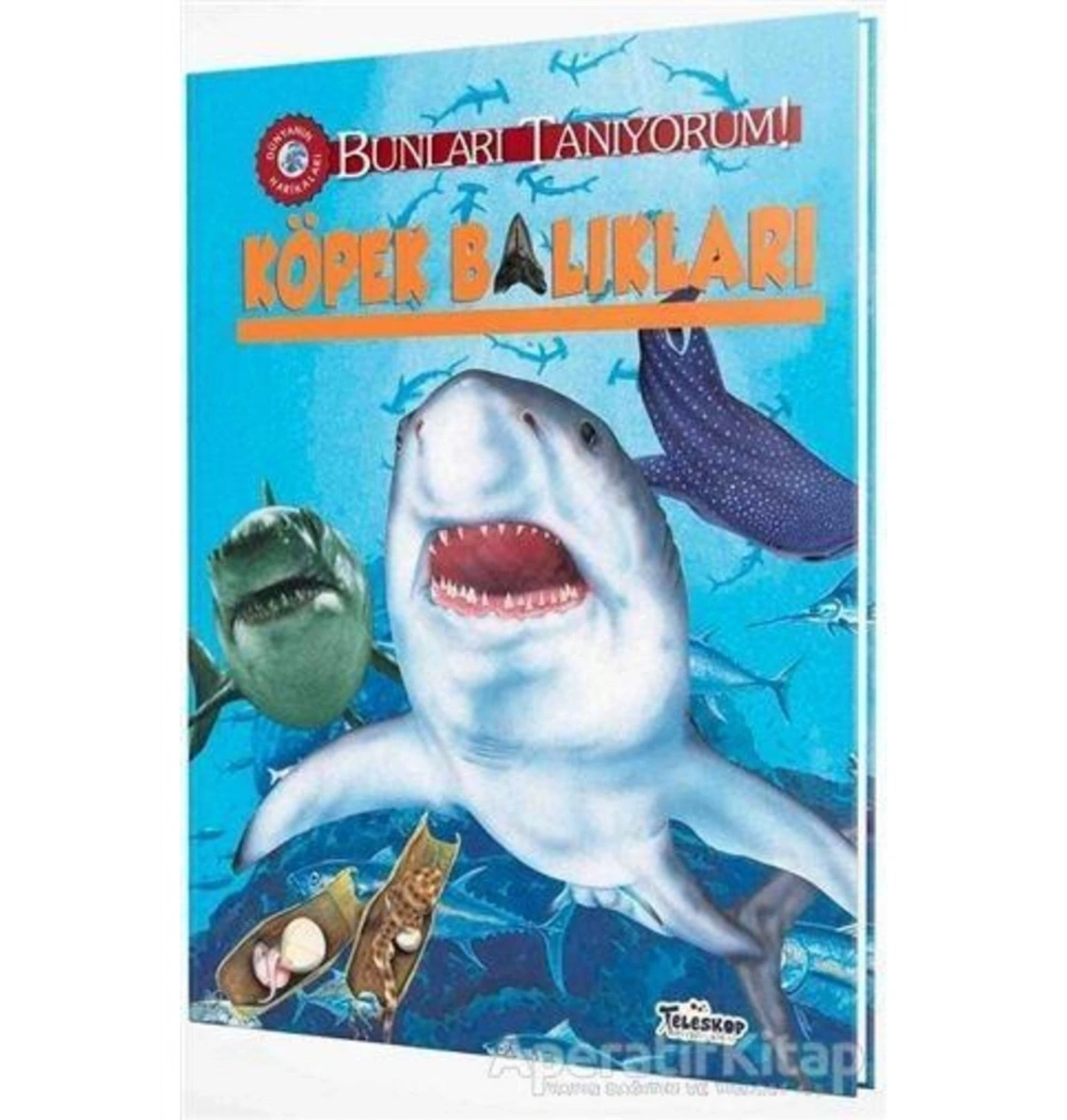 Köpek Balıkları  Teleskop