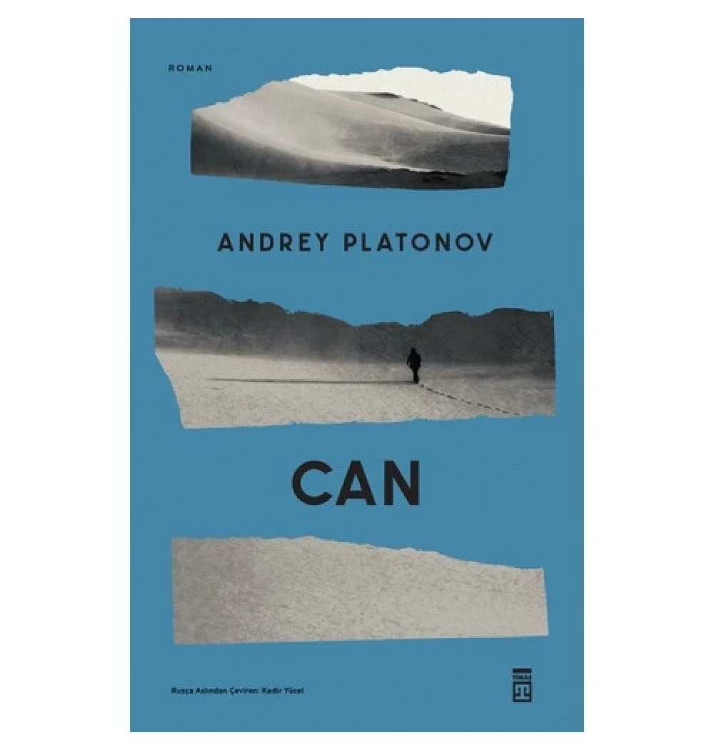 Can Andrey Platonov Timaş