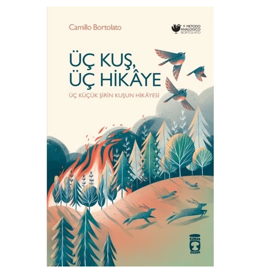 Üç Kuş Üç Hikaye Camillo Bortolato Timaş Çocuk