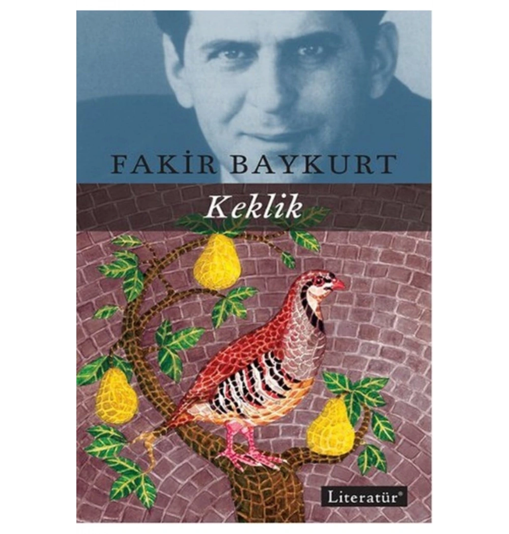 Keklik - Fakir Baykurt - Literatür