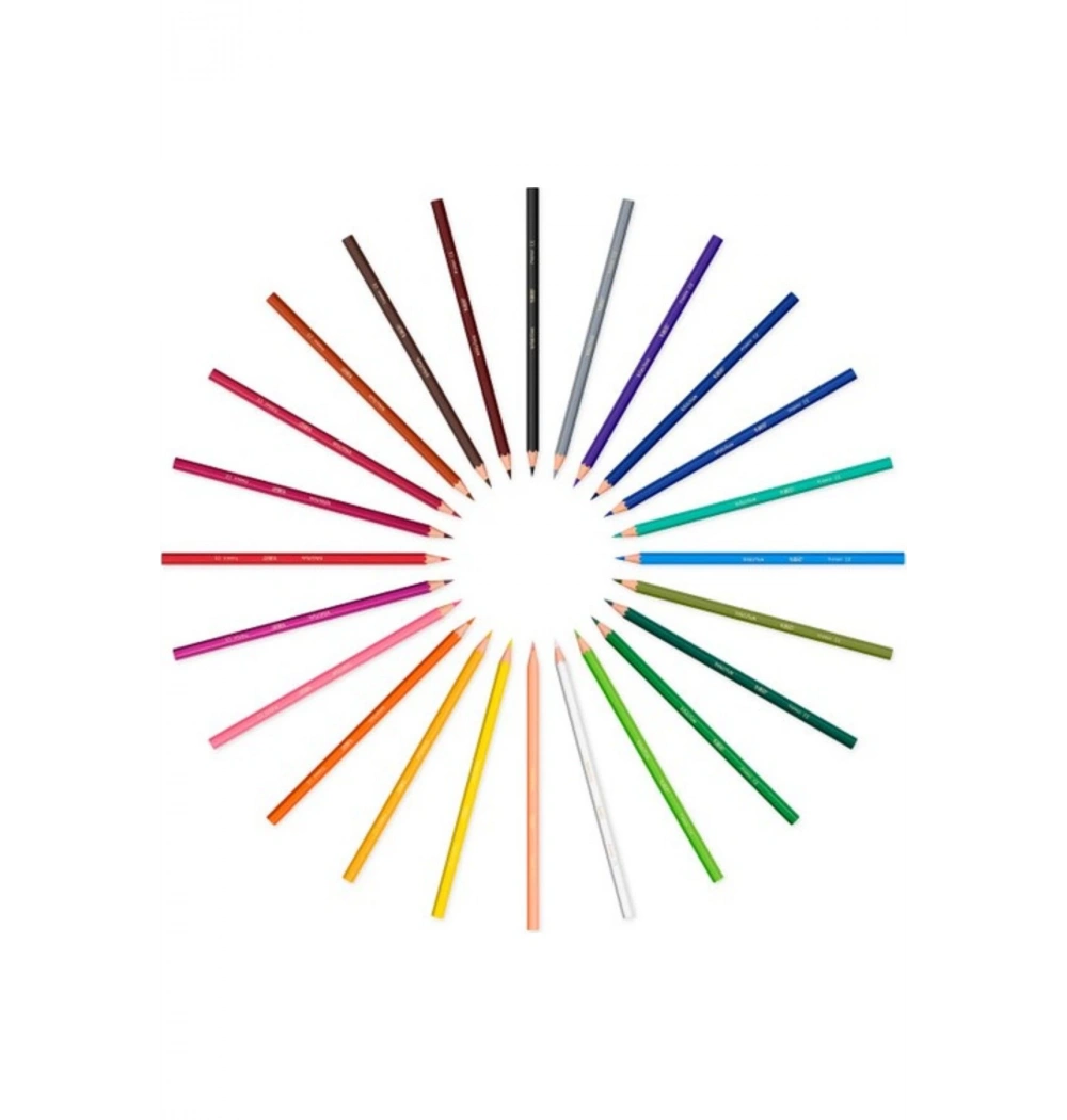 Bic Kids Evolution 12 Renk Kuru Boya Büyük Boy 82902910