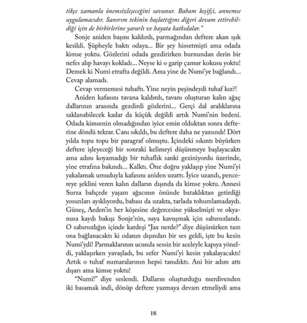 Aeden Bir Dünya Hikayesi. Azra Kohen   Artemis