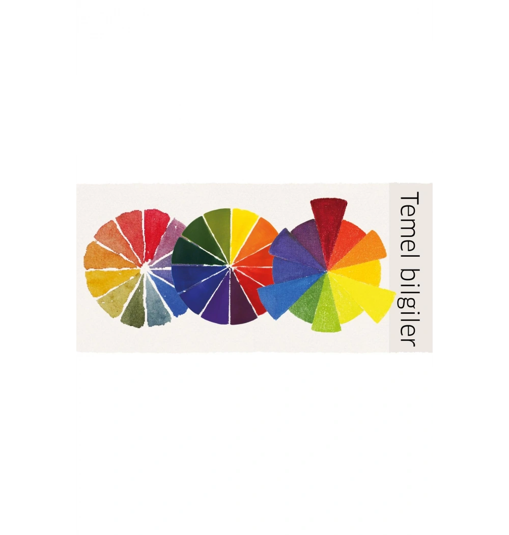 Ressamin Resi̇M Tekni̇Kleri̇ Ci̇Ltli̇ Alfa Basım