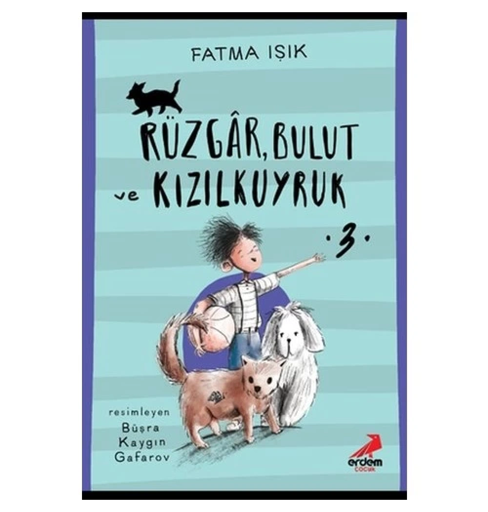 Rüzgar Bulut Ve Kızılkuyruk  Fatma Işık  Erdem