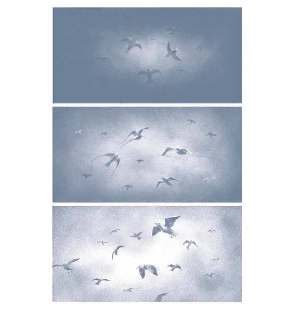 Arafta  Debii Lee  Yuzukitap