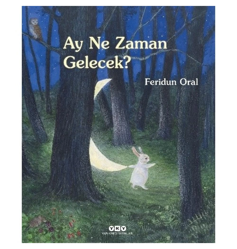 Ay Ne Zaman Gelecek  ?  Feridun Oral  Yapı Kredi