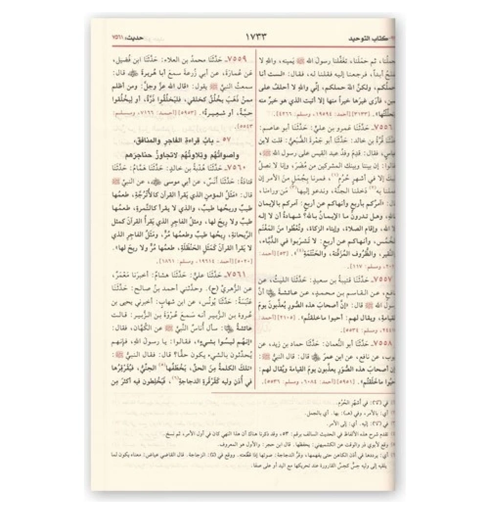 Sahihi Buhari  Arapça  Tek Cilt  Darelkitab