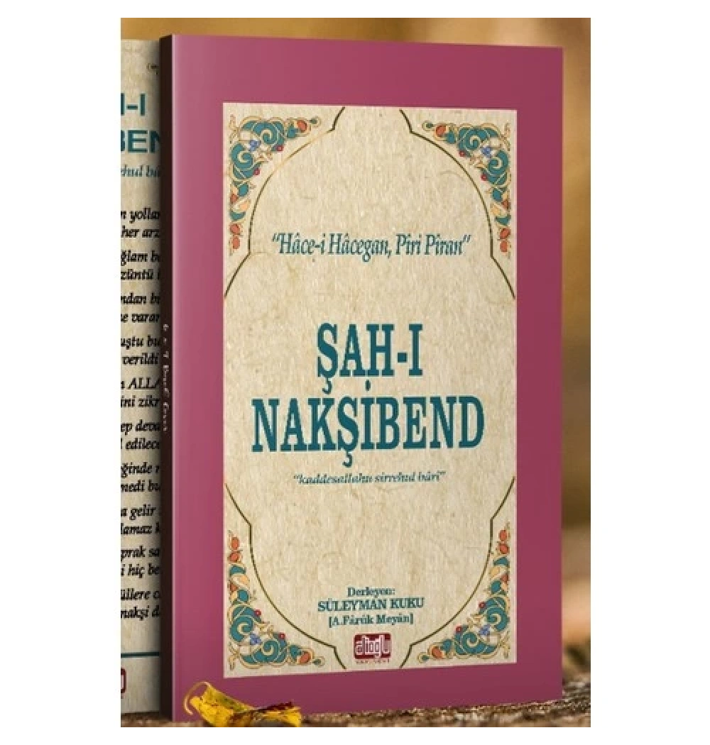 Şahi Nakşi̇Bend Faruk Meyan Ali̇Oğlu Yayın