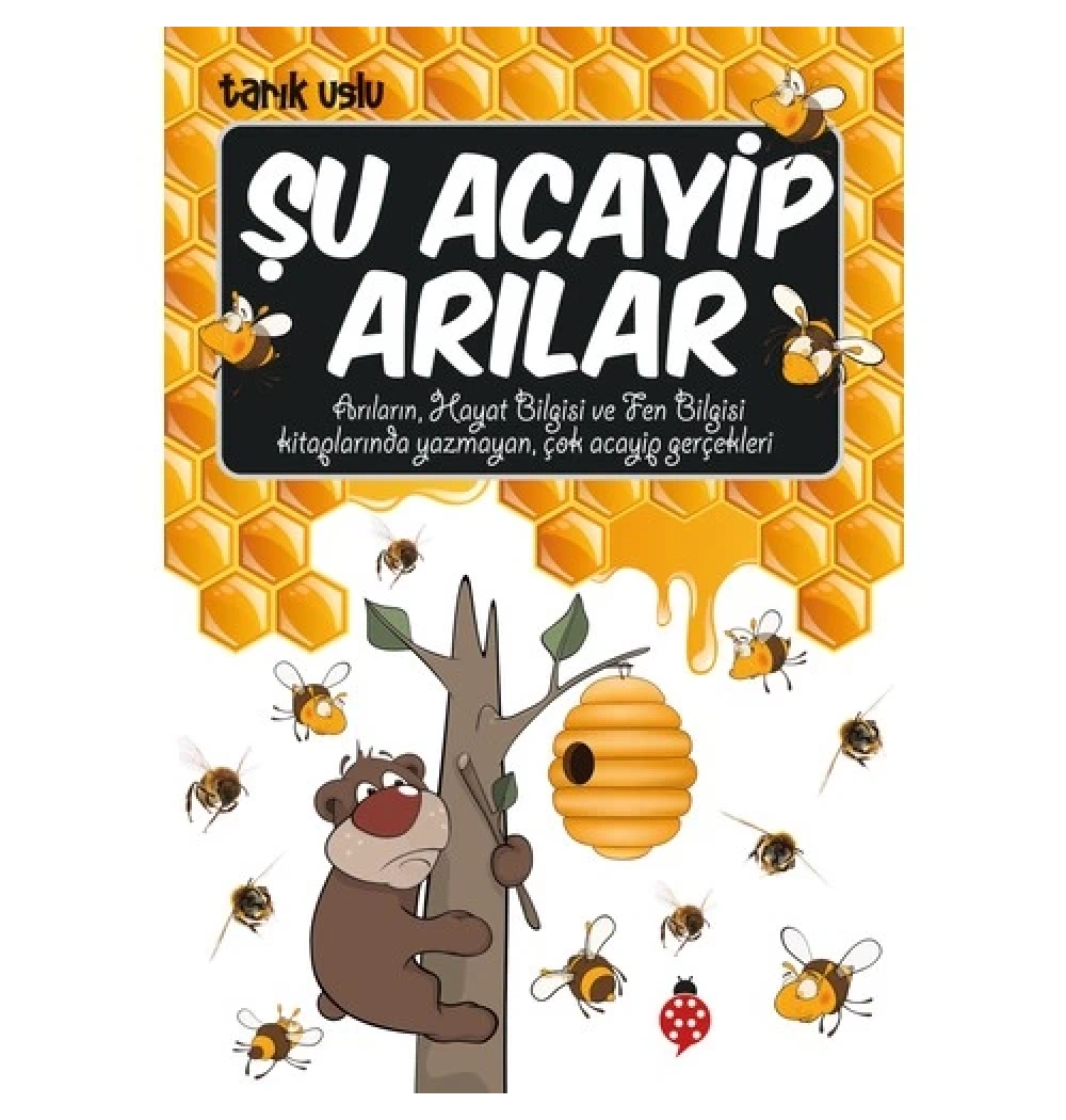 Şu Acayip Arılar Uğurböceği