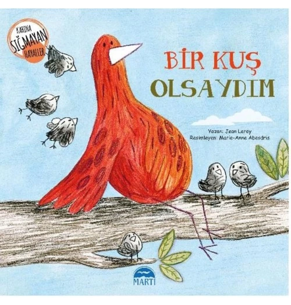 Bir Kuş Olsaydım  Martı
