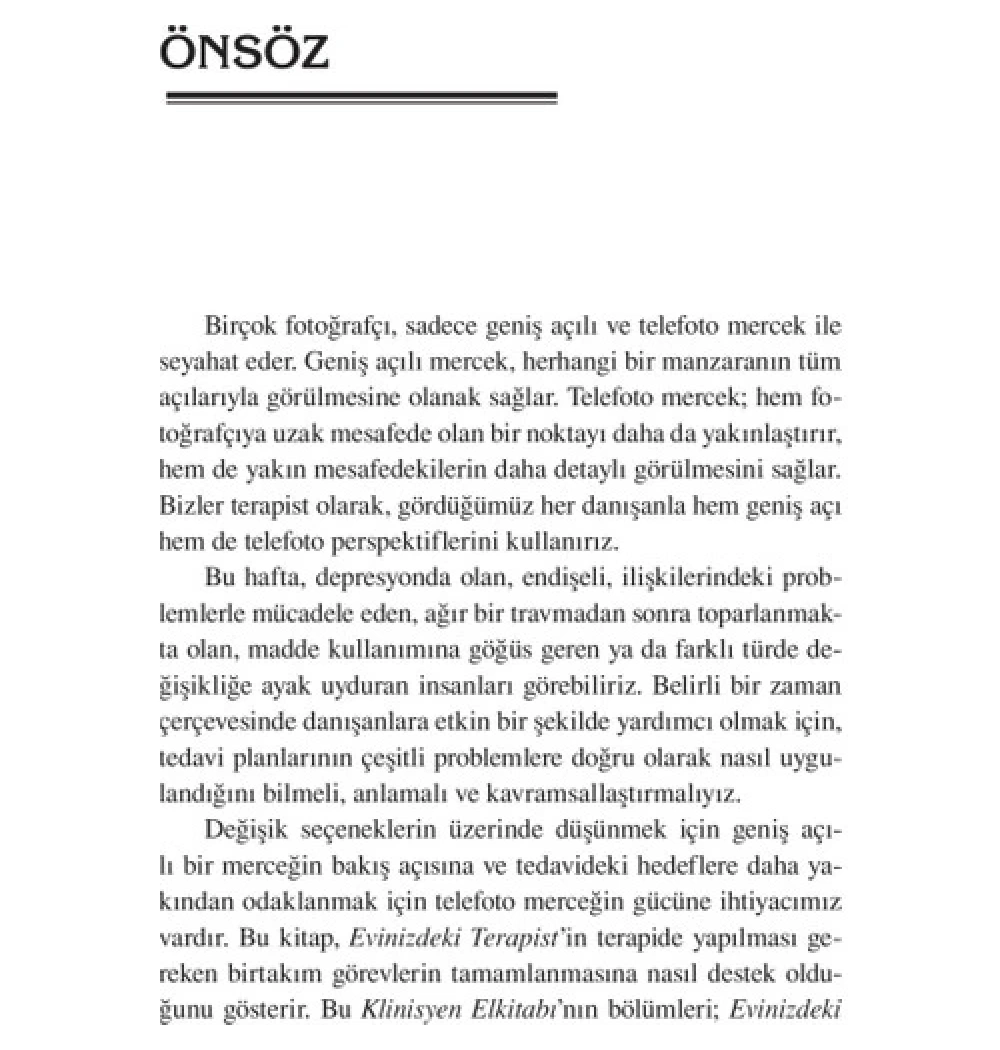 Evi̇Ni̇Zdeki̇ Terapi̇St/ D.Greenberger Altın