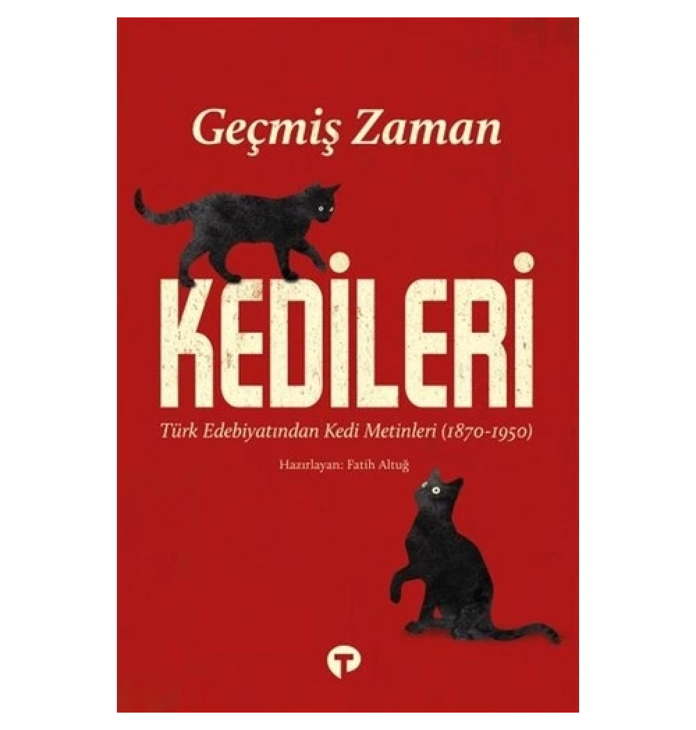 Geçmiş Zaman Kedileri   Fatih Altuğ    Turkuvaz