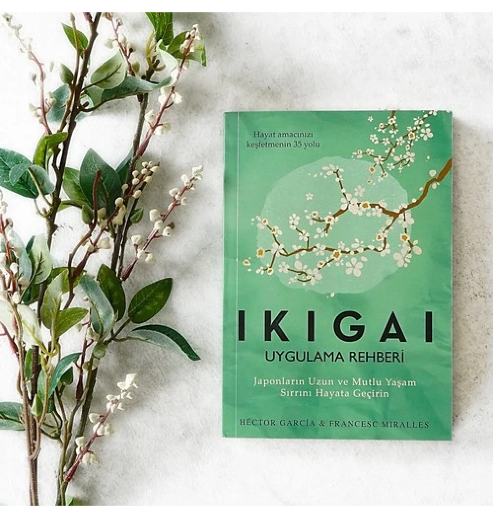 Ikıgaı Uygulama Rehberi   Hector Garcıa   İndigo