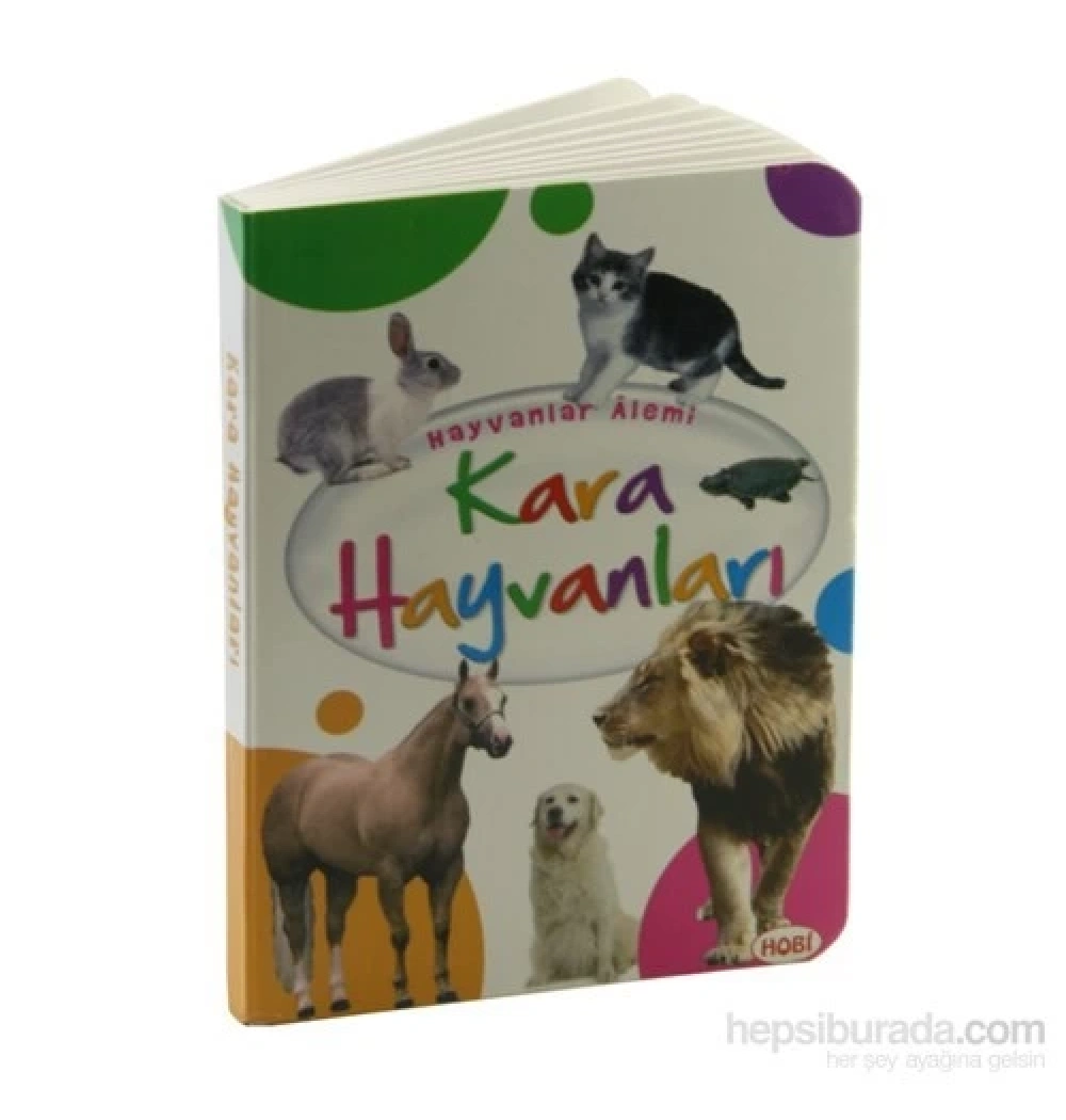 Kara Hayvanları   Hobi