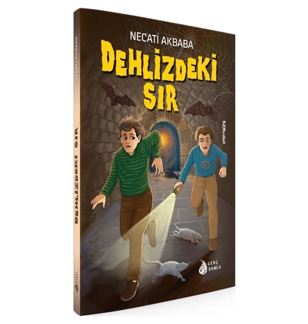Dehlizdeki Sır   Necati Akbaba      Damla Yayın