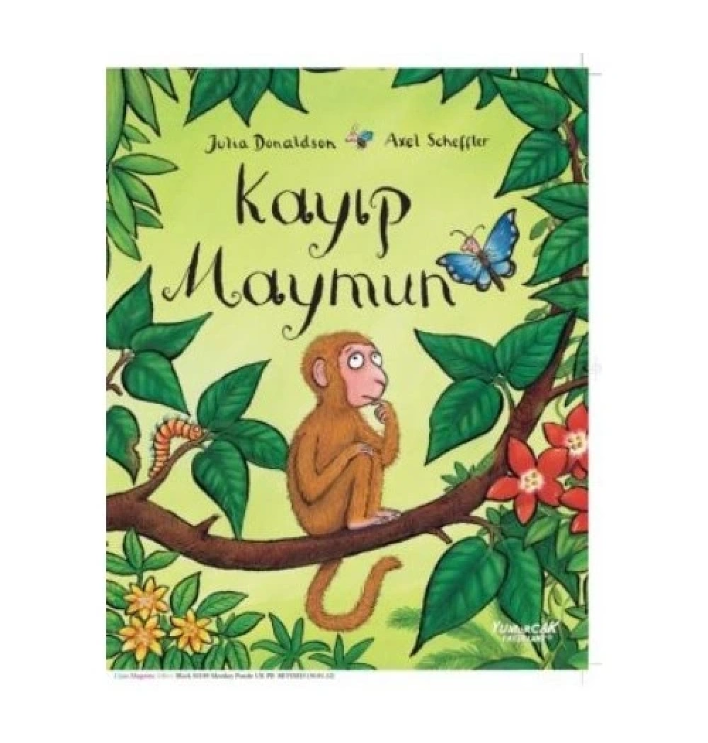 Kayıp Maymun    Yumurcak