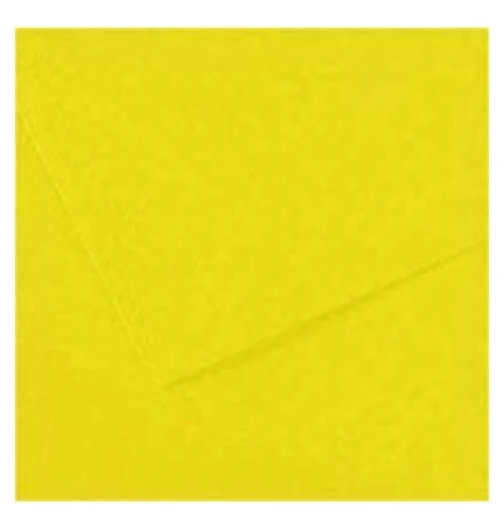 Alex Schoeller Kolej Fon Kartonu Sarı 160 Gr 50X70 No:53