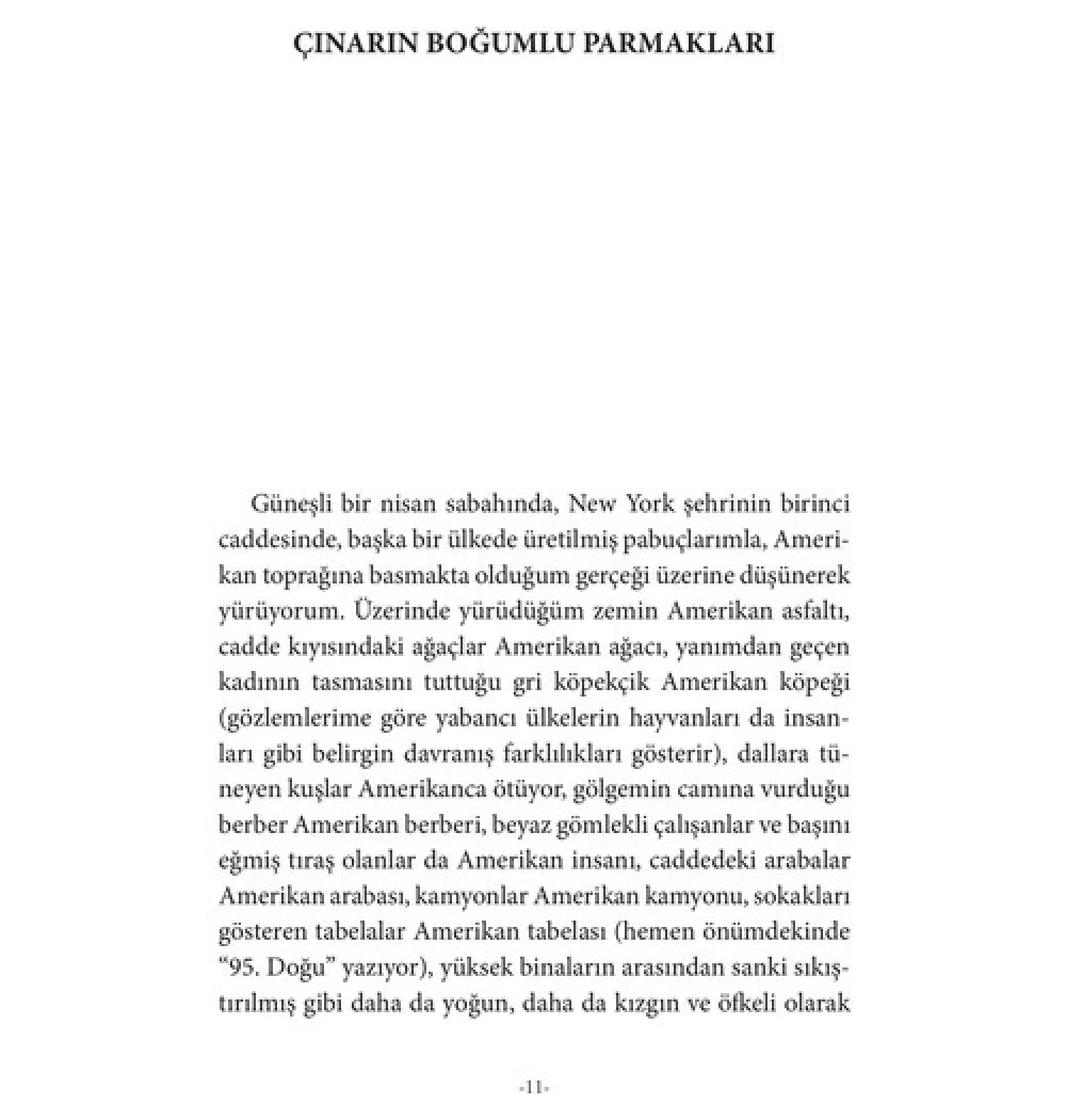 Elia İle Yolculuk   Livaneli     Kara Karga