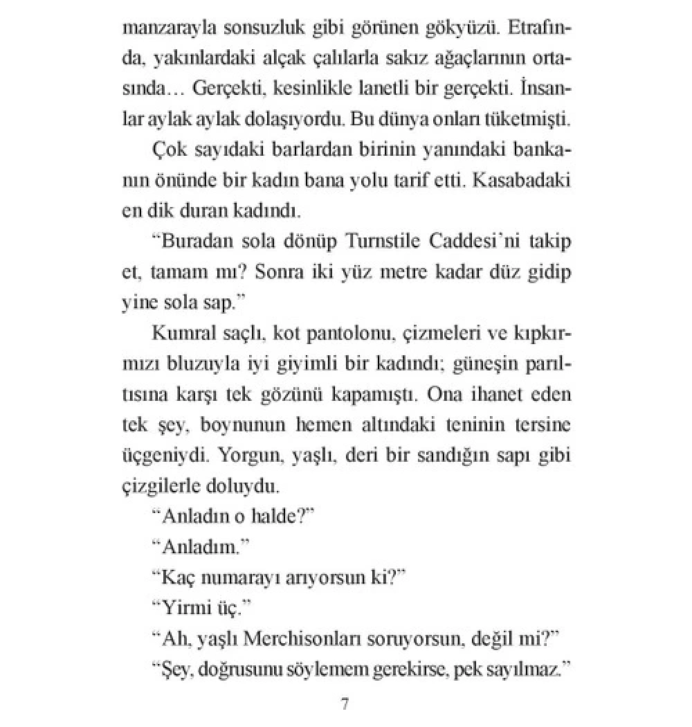 Kilden Köprü   Markus Zusak   Martı