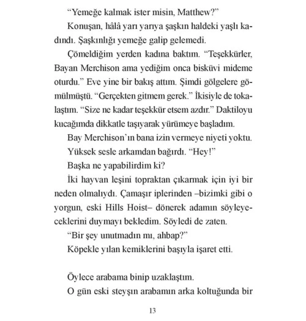Kilden Köprü   Markus Zusak   Martı