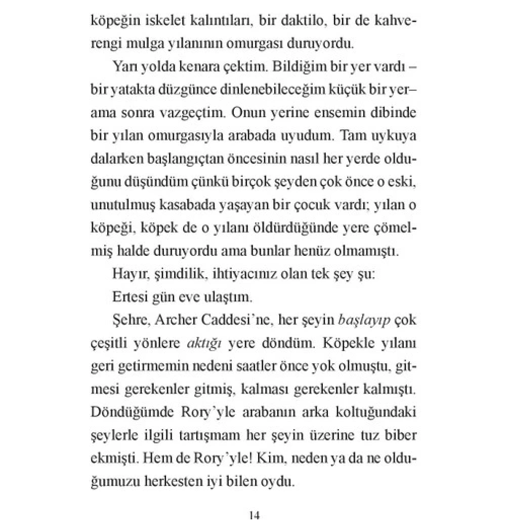 Kilden Köprü   Markus Zusak   Martı