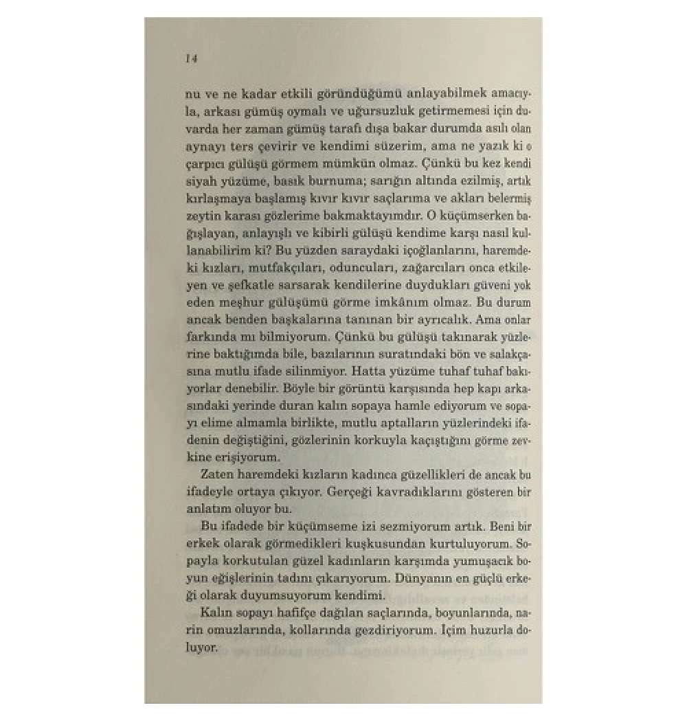 Engereğin Gözü. Zülfü Livaneli Doğan Kitap
