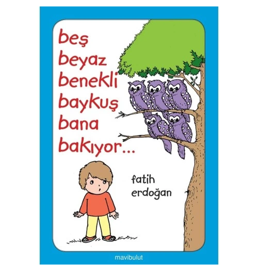 Beş Beyaz Benekli Baykuş Bana Bakıyor Fatih Erdoğan Mavibulut