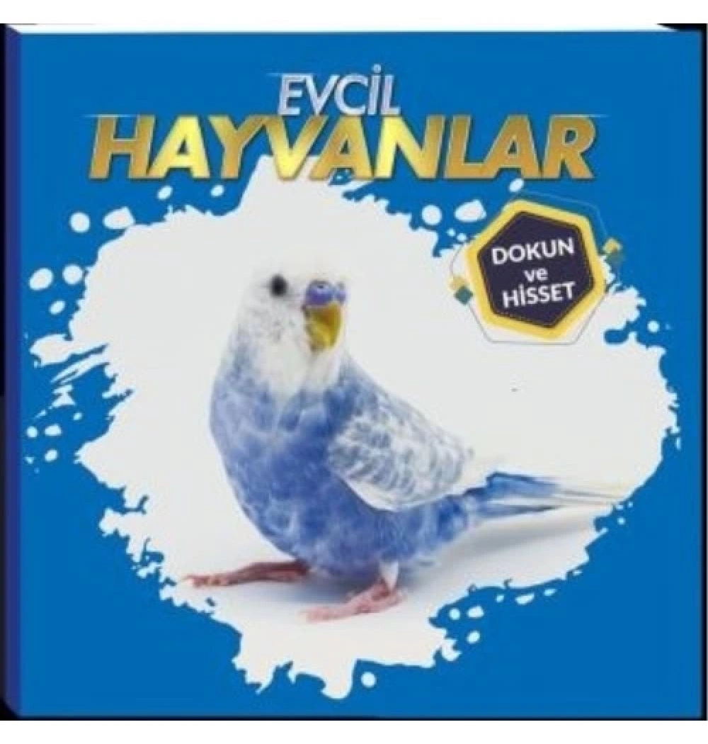 Evcil Hayvanlar Dokun Ve Hisset