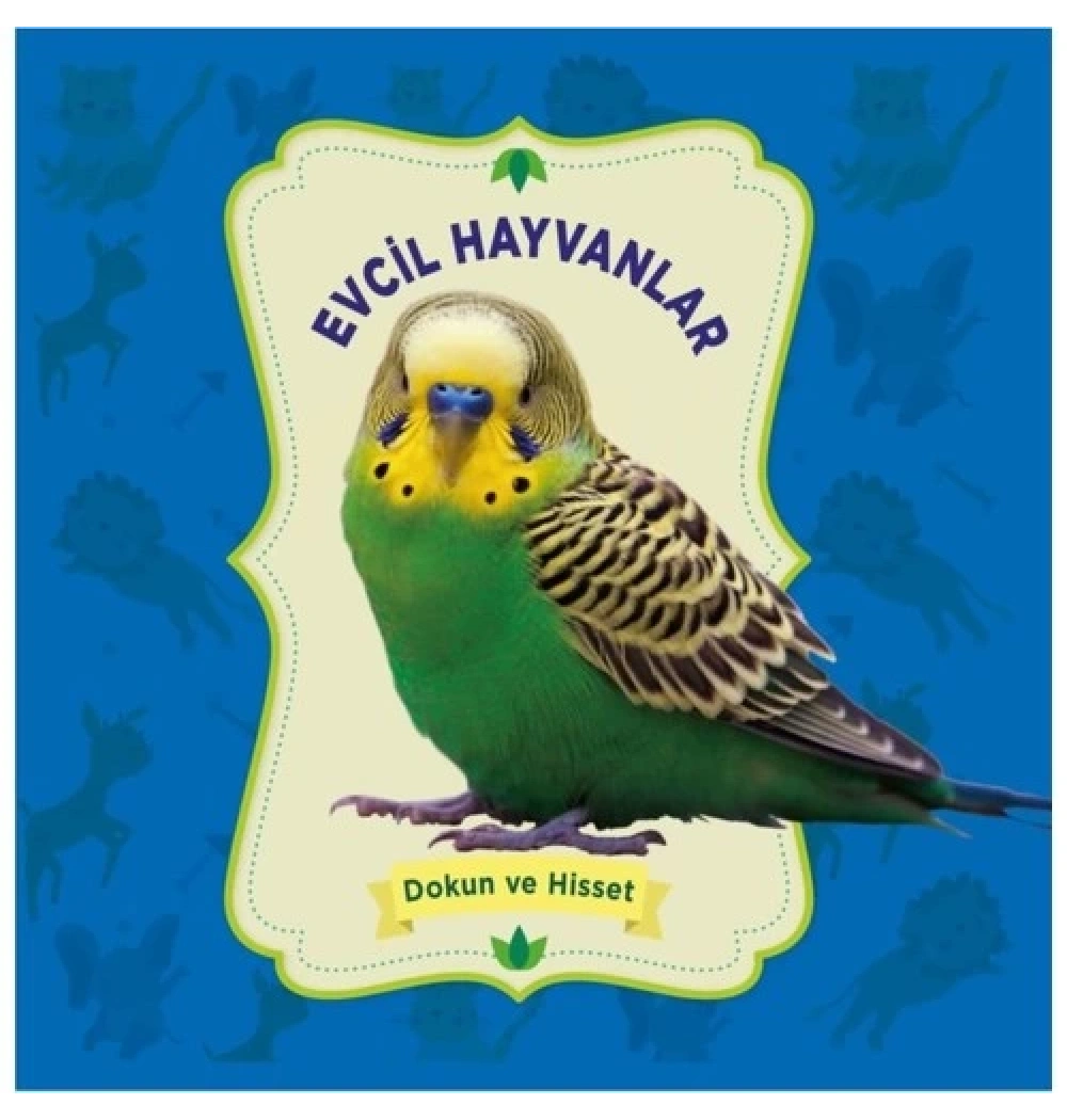 Evcil Hayvanlar Dokun Ve Hisset