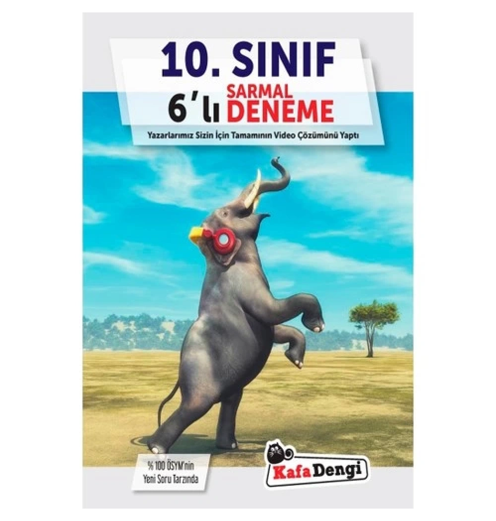 10.Sınıf 6 Lı Sarmal Deneme  Kafadengi