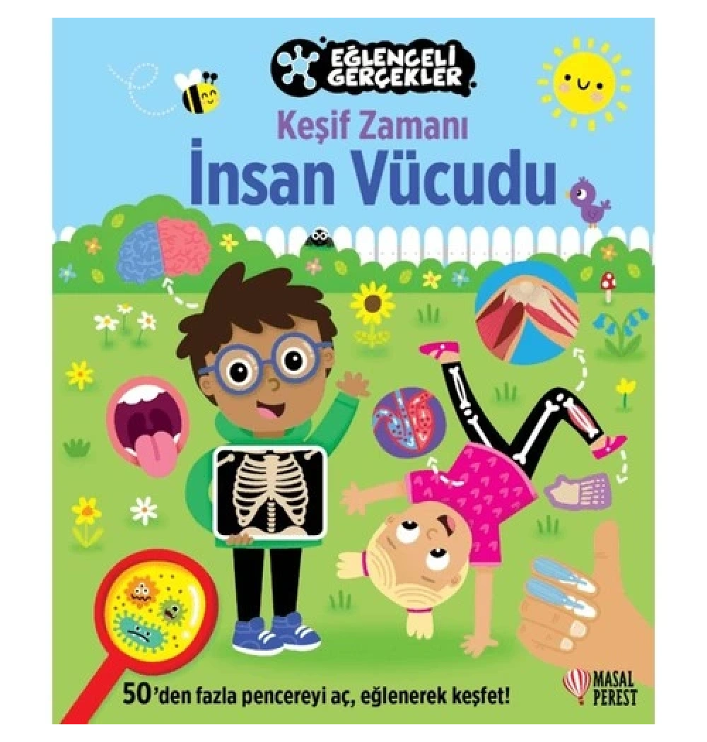 Eğlenceli Gerçekler Keşif Zamanı İnsan Vücudu Masalperest