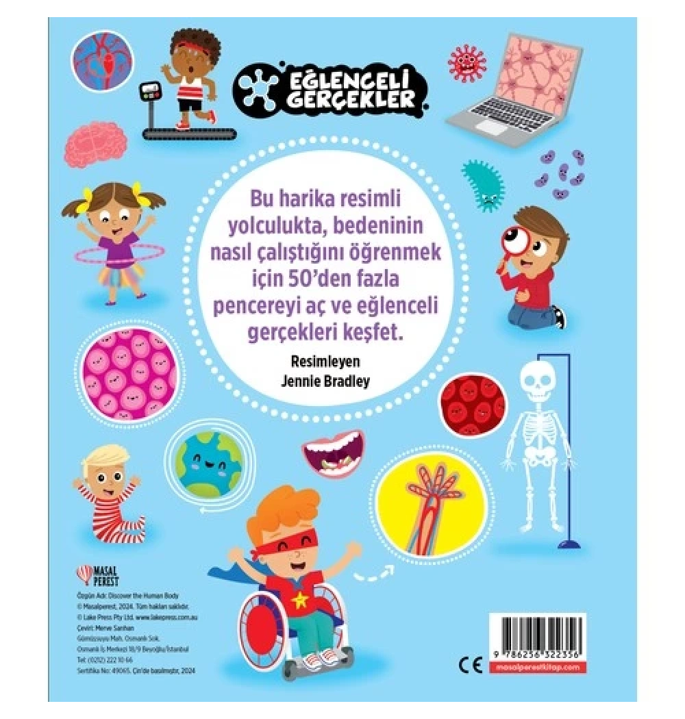 Eğlenceli Gerçekler Keşif Zamanı İnsan Vücudu Masalperest