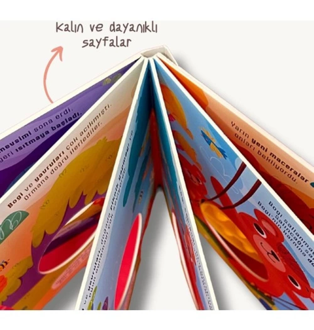 Ayı Bogi Benim Pop-İt Kitabım  Bikutu Oyun