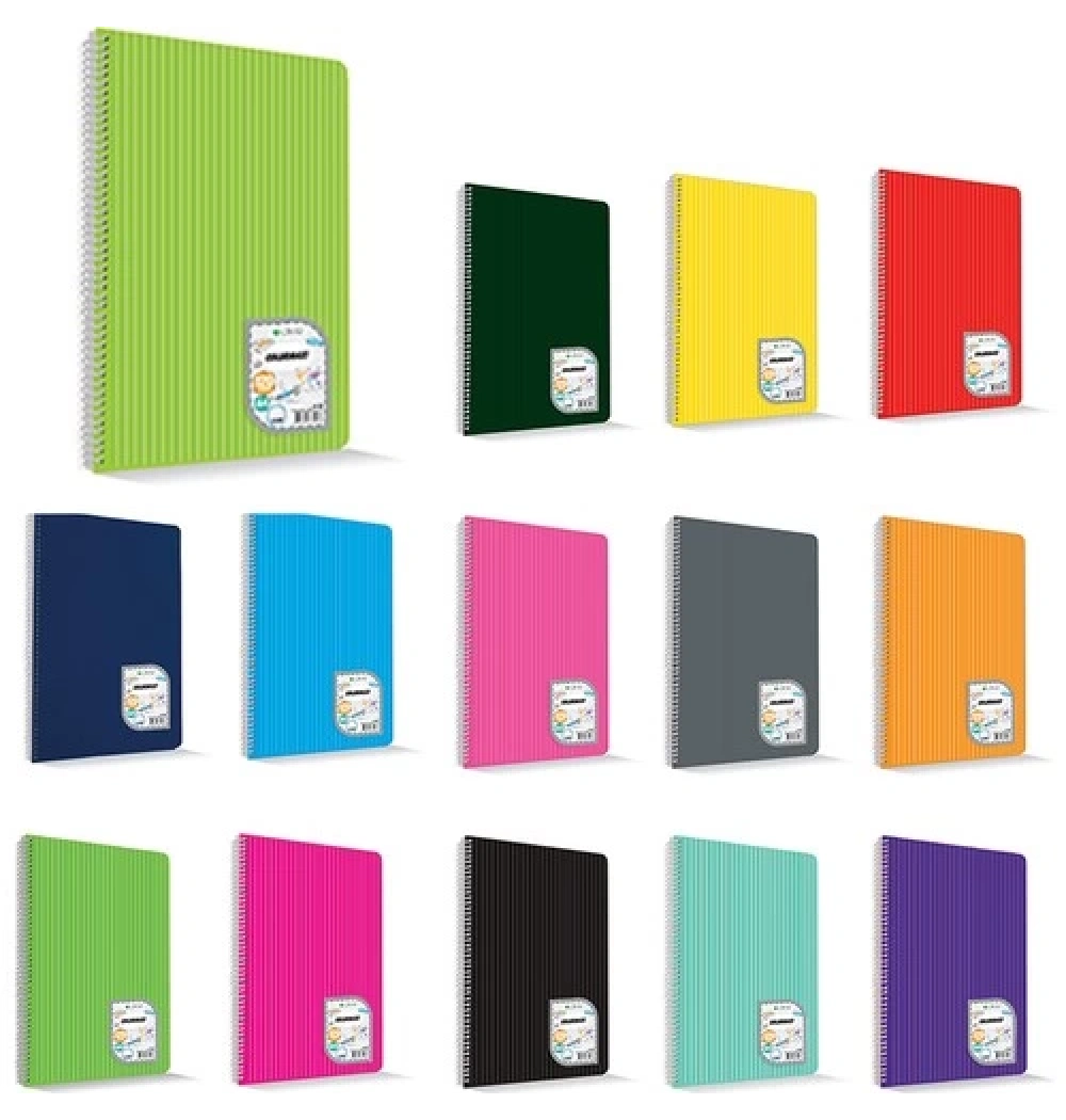 Çınar 73510 Colormaxı Sipiralli  A5 Pp Kapak 60 Yp Çizgili Defter