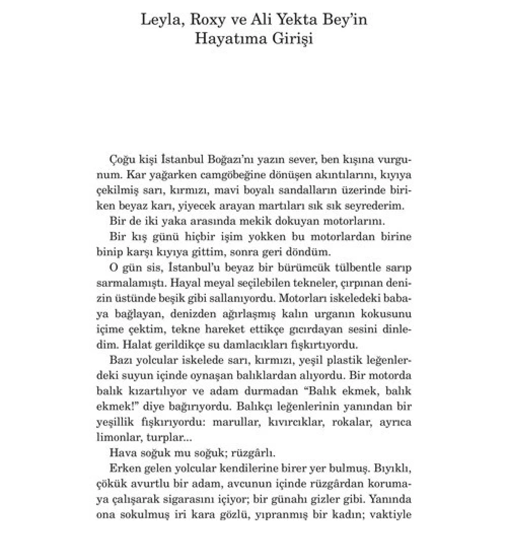 Leylanın Evi  Zülfü Livaneli-  Doğan