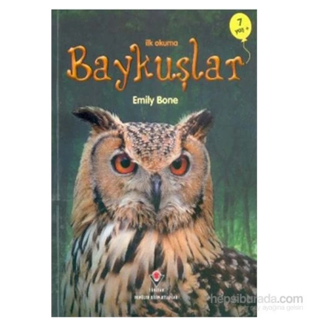 İlkokuma Baykuşlar   Tübitak