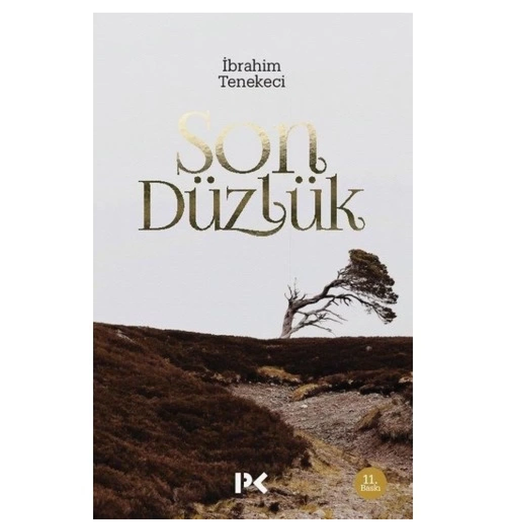 Son Düzlük Ibrahim Tenekeci - Profil