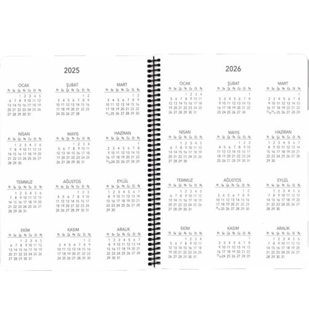Keskin 20*28 Spiralli Haftalık Ajanda Yeşil 2025 600075-99
