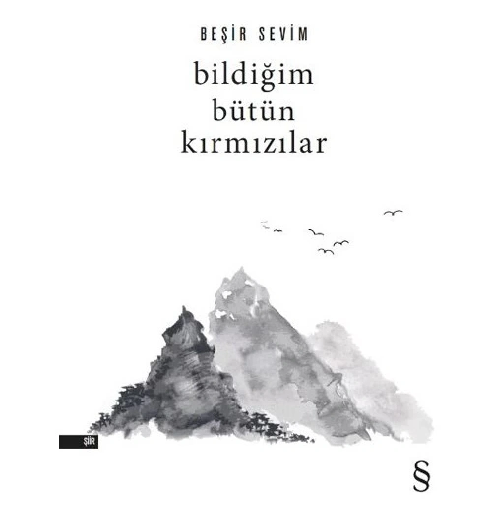 Bildiğim Bütün Kırmızılar  Beşir Sevim  Everest