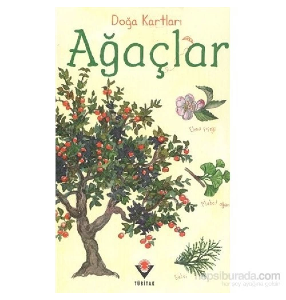 Doğa Kartları Ağaçlar Cep Boy Kutulu  Tübitak