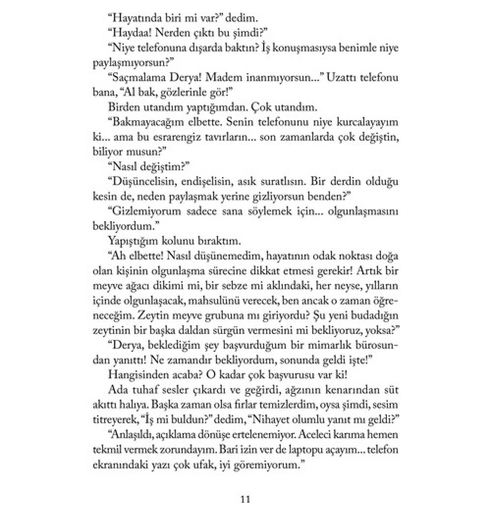 Son Ayşe Kulin Everest Yayın