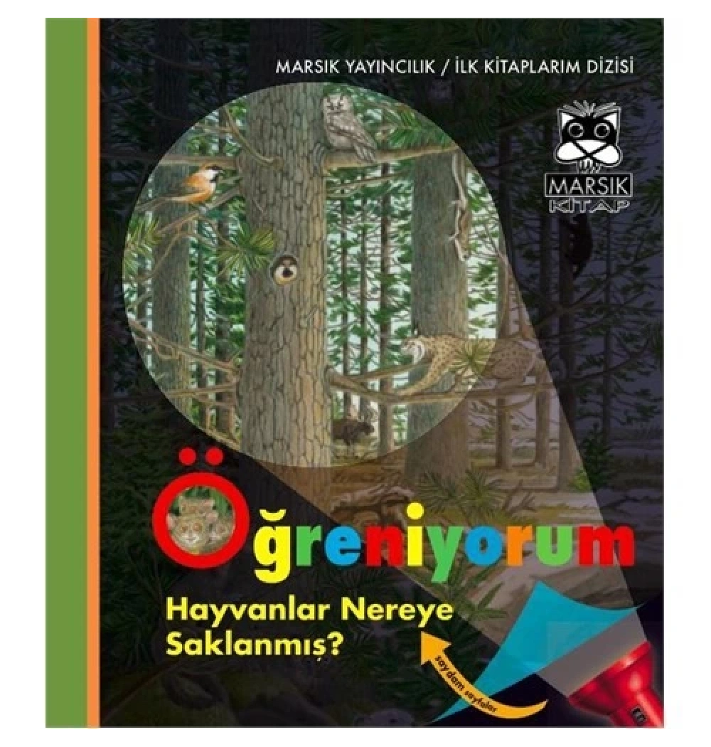 Öğreniyorum Hayvanlar Nereye Saklanmış   Marsık