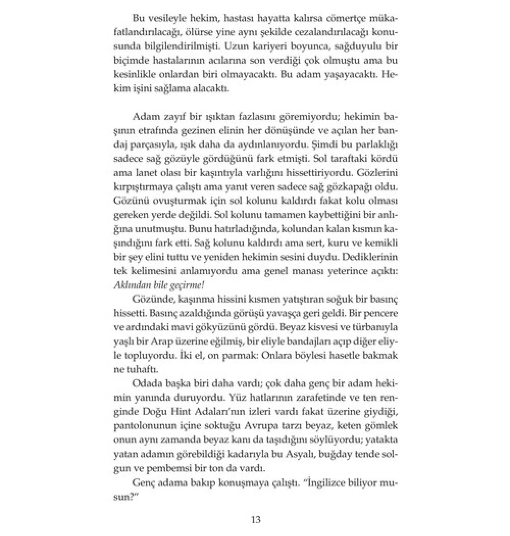 Altın Aslan Wilbur Smith Altın